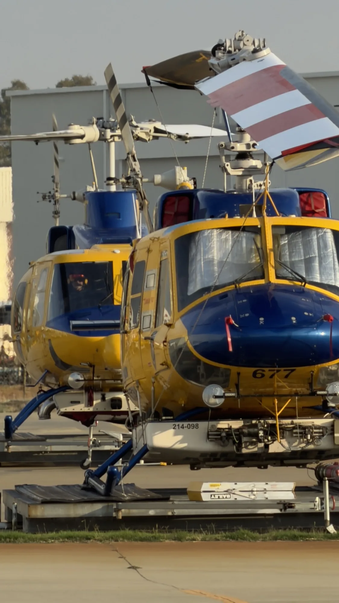 Ready to fly